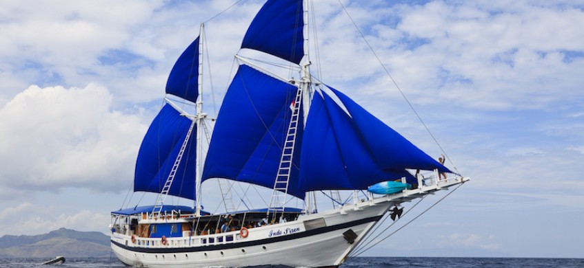 Indo Siren. Indonesia Liveaboard Diving
