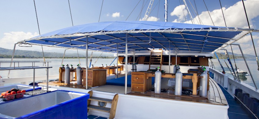 Indo Siren. Indonesia Liveaboard Diving