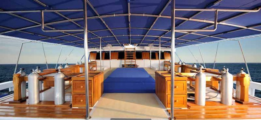 Indo Siren. Indonesia Liveaboard Diving