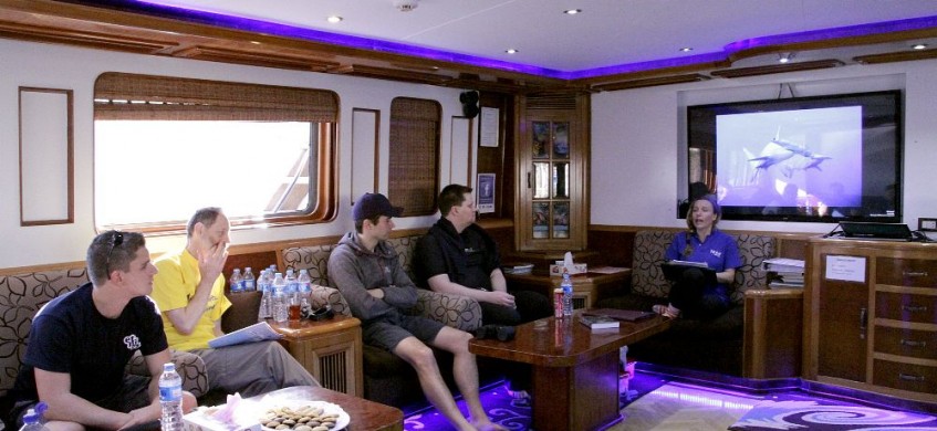 Emperor Superior, Red Sea Liveaboard
