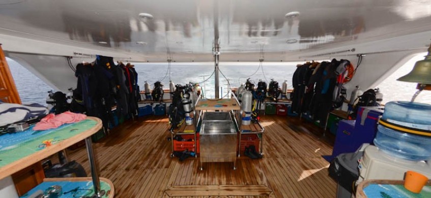 Emperor Superior, Red Sea Liveaboard