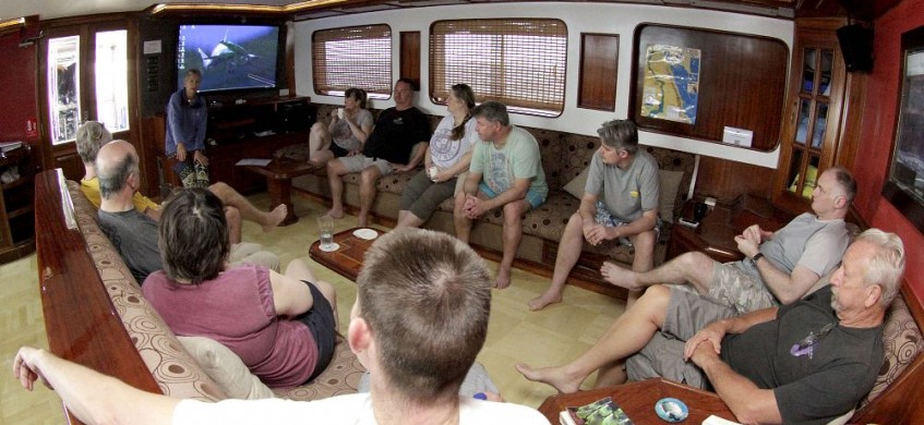 MV Emperor Elite, Red Sea Liveaboard