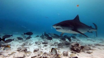 5028_1dd09400-6440-4def-8576-bd095210af77